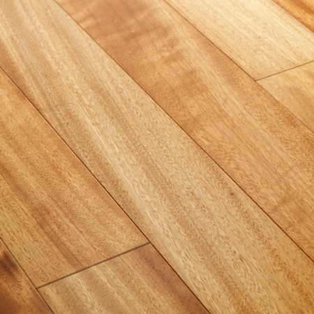 Iroko