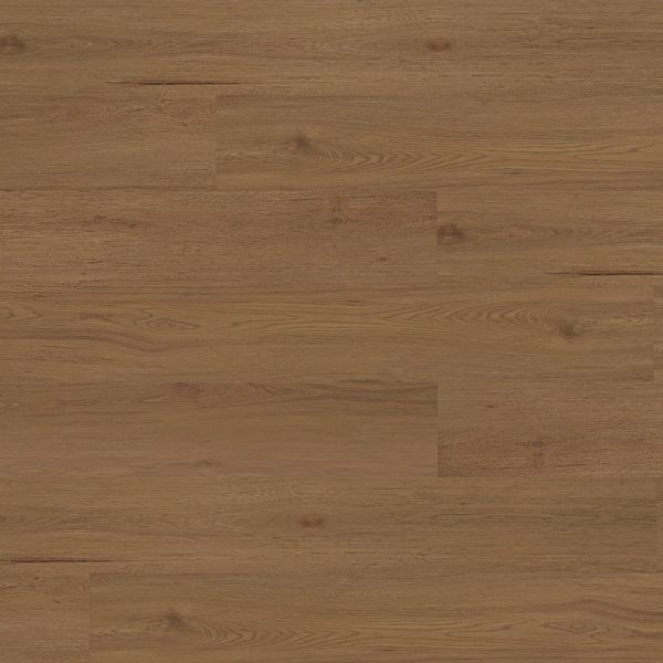 4001 ROBLE PERSIA
