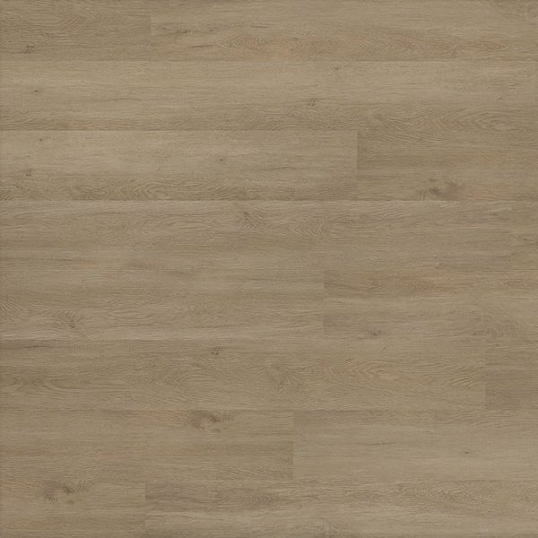 5002 ROBLE NILO
