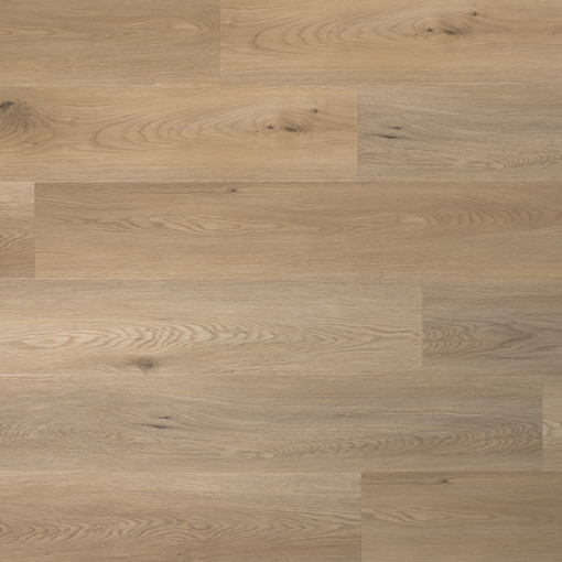 Tarn Chestnut TAR-849-IB