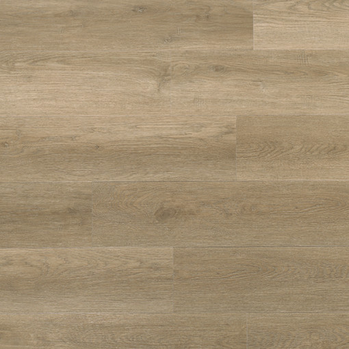 Ivalo Barley IVA–2702–IB