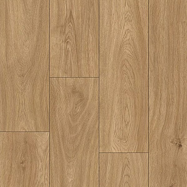 Core Blue C530 Roble Dartagnan