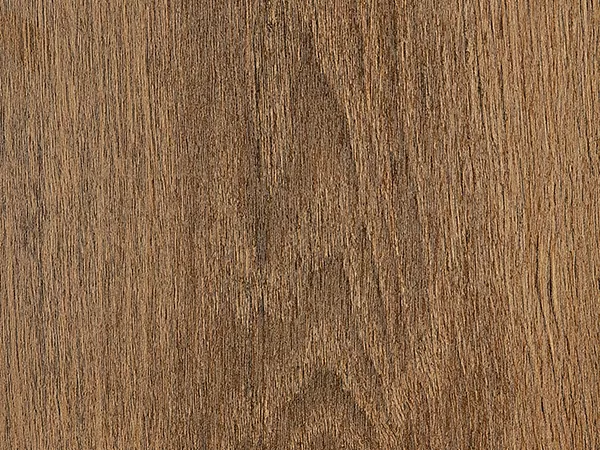 Castaño Hondones 102