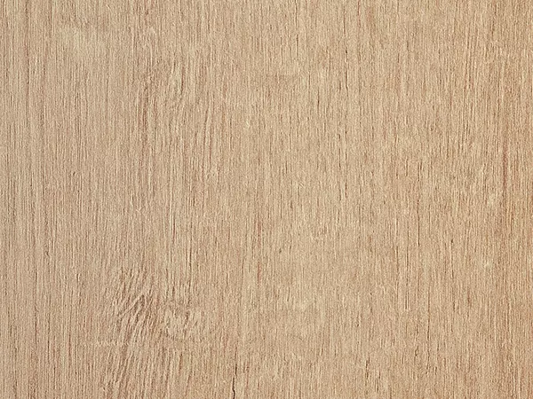 Roble Riviel 114