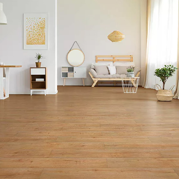 BFComfort 073