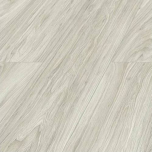 Olmo Baruc D3710