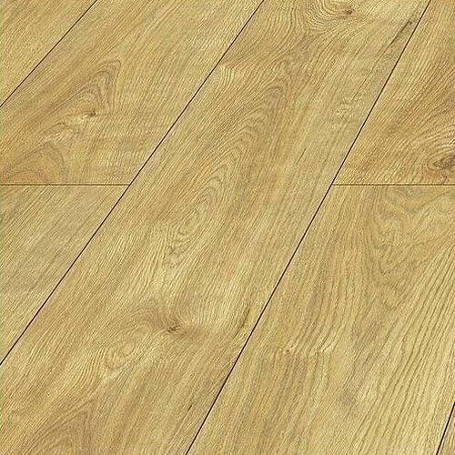 Roble Ruben D4582