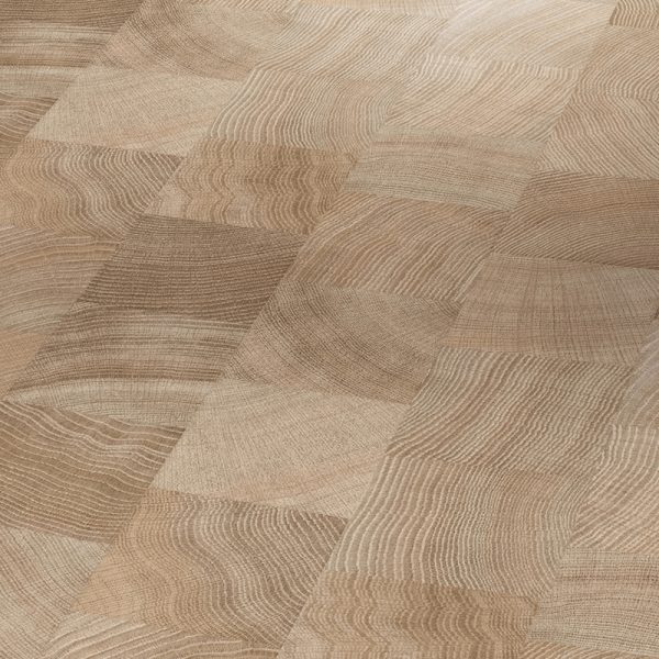 Roble Corte Transversal Calizo Estructura Aceite