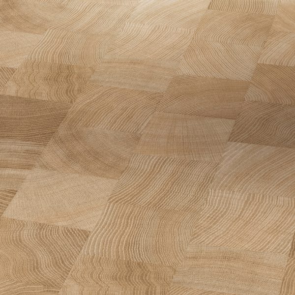 Roble Corte Transversal Natur Estructura Aceite