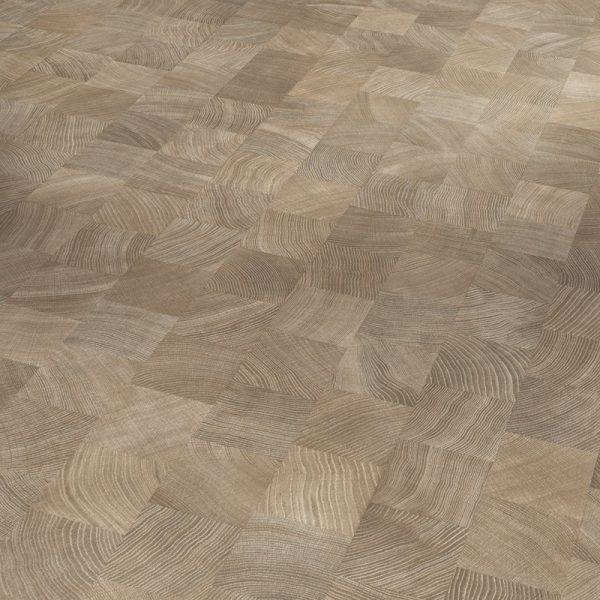 Roble Corte Transversal Calizo Estructura Sedosa Mate 1748383 (AG)