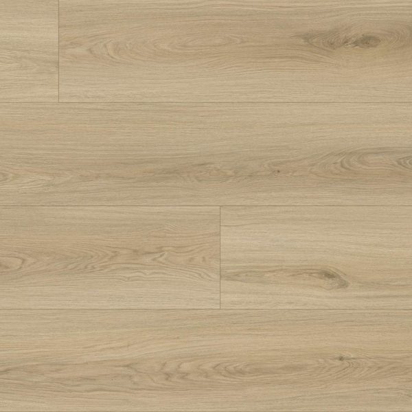 M8002 Roble Budia HEM.