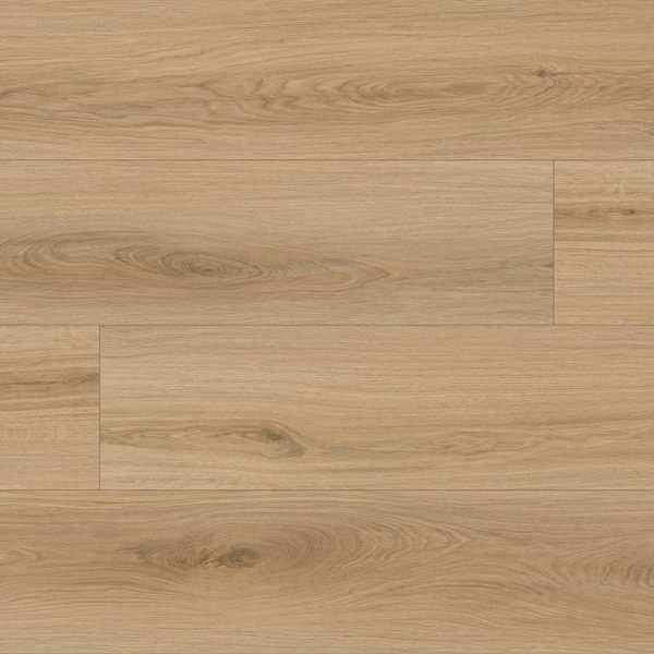 M8003 Roble Cuerva HEM.